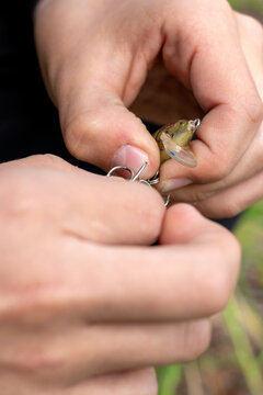 Vertical close-up of hands attaching an artificial lure to a snap swivel