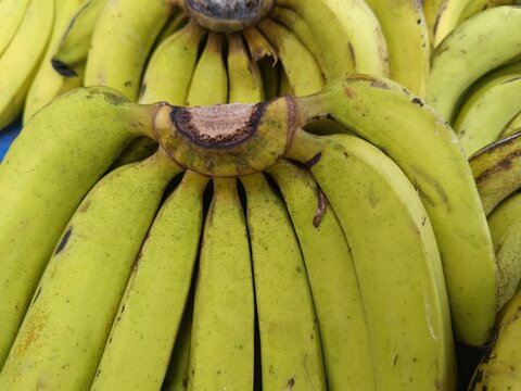 Yellow green bananas piled together with naturally darkened tips, bruised skins, and abundant tropical fruit texture