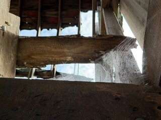 abandoned barn with spiderwebs  © Lisa