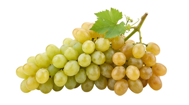 A fresh bunch of ripe green grapes with a single leaf isolated on a black background