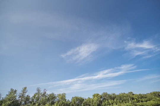 Summer cloudy sky over the Kazakh steppe and fields; white clouds against a blue sky in sunlight; fine weather in June; background landscape