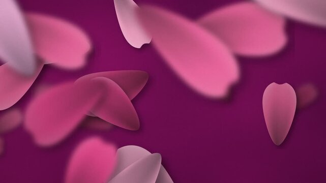 Fondo de p&eacute;talos de rosa fucsia y magenta en bucle sin costuras