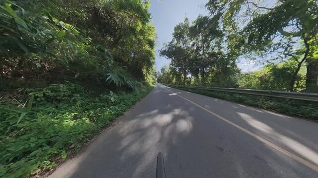 Winding asphalt road through dense green forest, with sunlight shining through the tree canopy, long shadows across the pavement and a metal guardrail along the roadside.