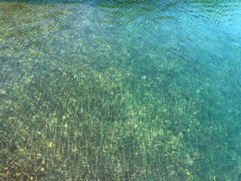 Sea clear calm surface with underwater seaweed 