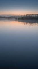 Fototapeta premium Distant reeds and thin fog over still blue water at pre-dawn with clean space below