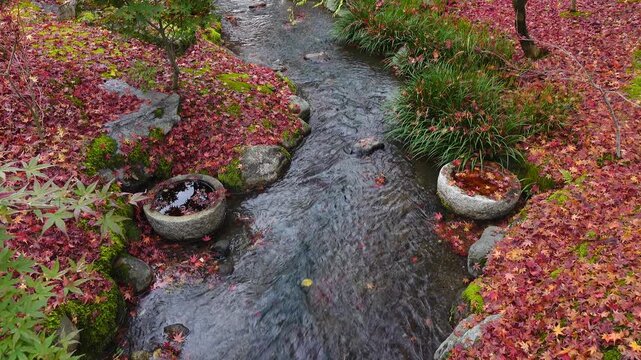beautiful autumn landscape with colorful leaves and stream in Kyoto, Japan.