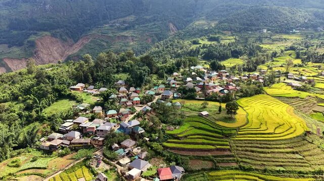 Aerial orbit over a Ha Nhi village with yellow earthen walls and brown tiled roofs among golden terraces in Y Ty