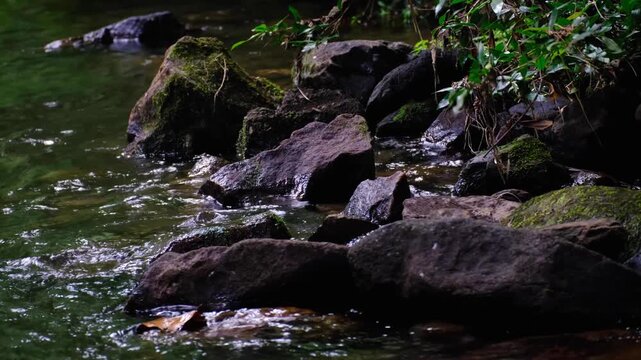 Closeup wavy water and rocky riverbank at Tavoro waterfall in Bouma National Heritage Park on tropical island Taveuni Fiji