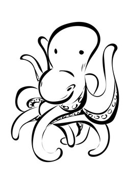 Krake