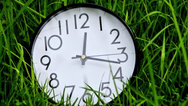 Analog Clock Lying in Lush Green Grass