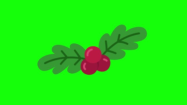Cartoon illustration of red winter berries and green leaves on a bright green screen background