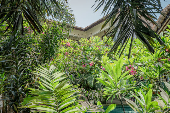 Hotel complex with a swimming pool in Lombok Indonesia