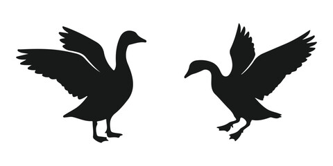 Silhouettes of two geese with wings spread © MDANISUR