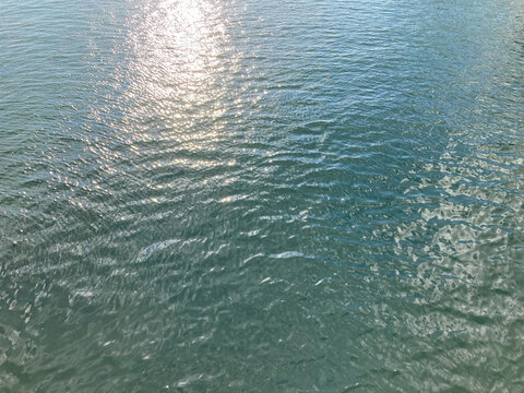 夕陽が反射する、緑がかった水面(横長)