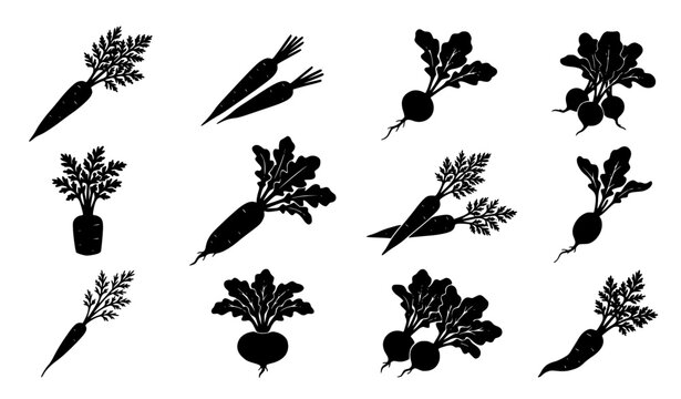 Carrot and Radish Black Silhouette Vector Collection