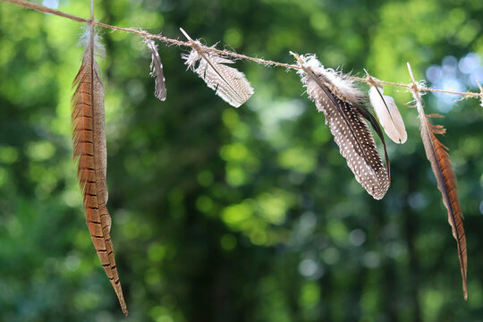 Handmade garland of natural speckled feathers strung on jute twine and tied to a tree trunk. Warm summer sunlight and soft green bokeh foliage create a dreamy forest background with plenty copy space