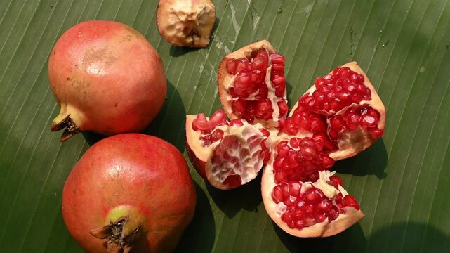 Here, a fresh pomegranate (Punica granatum) also known as Anar fruit in India, picked from the garden, is being cut on a banana leaf. The natural compounds formed after consuming, good for the heart.