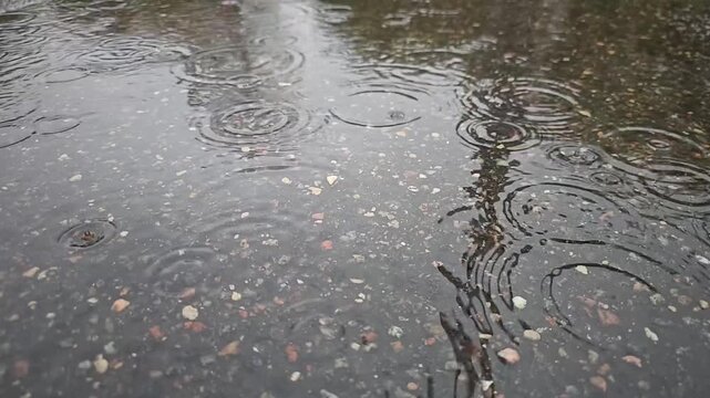 Raindrops create ripples on a surface as the water reflects nearby surroundings