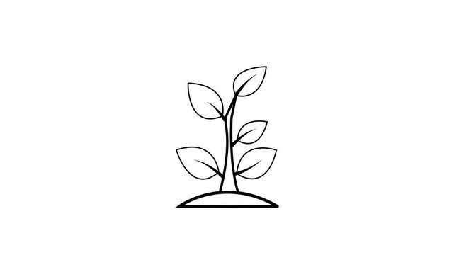 Liner black tree icon animation. 4k stock video