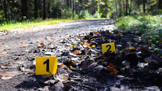 Evidence markers indicating specific points of interest in a muddy, leaf strewn forest road on a sunny autumn day, suggesting an investigation or forensic study of the outdoor area