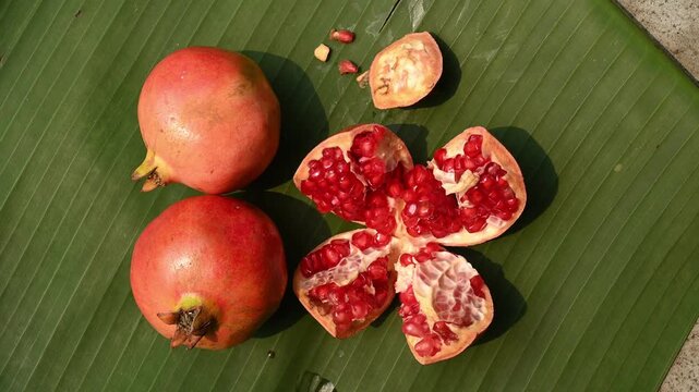 Here, a fresh pomegranate (Punica granatum) also known as Anar fruit in India, picked from the garden, is being cut on a banana leaf. The natural compounds formed after consuming, good for the heart.