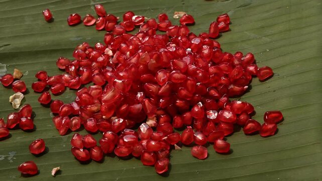 Here, a fresh pomegranate (Punica granatum) also known as Anar fruit in India, picked from the garden, is being cut on a banana leaf. The natural compounds formed after consuming, good for the heart.