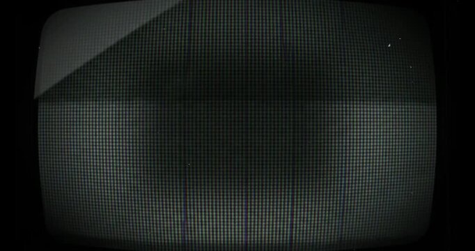 Grayscale scanlines overlay with retro film grain texture during vintage television transition effect