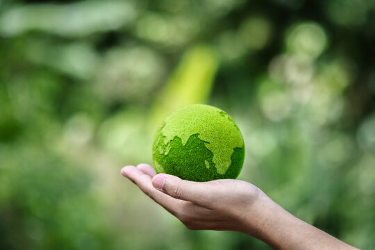 A green globe held in human hands against a vibrant green natural background, symbolizing environmental care, eco-friendly investment, and love for the planet.