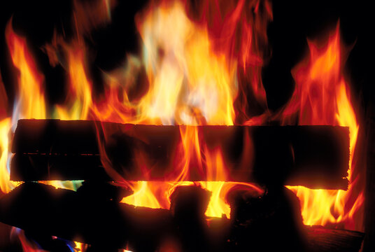 Close-up of wood campfire burning