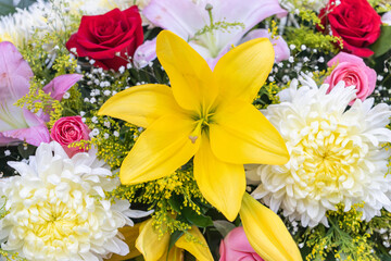 flores © JorgeZepeda