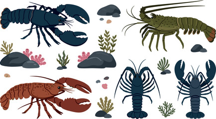 Obraz premium American Lobster and Spiny Crayfish Icon Set with Marine Crustaceans, Undersea Rocks, Coral, and Aquatic Seaweed for Seafood Restaurant Menus and Ocean Graphic Designs