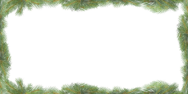 Christmas pine branch frame on a green background with space for text.