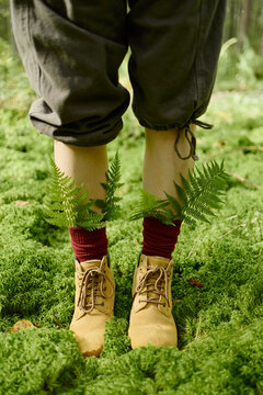 Vertical shot of young adult legs standing on moss with fern leaves in socks, representing eco tourism. Ideal for environmental travel campaigns