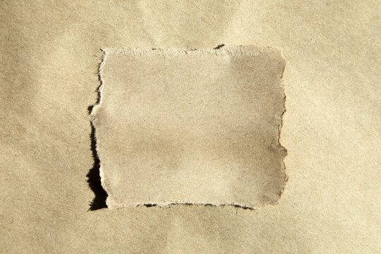 Studio shot of torn blank craft paper
