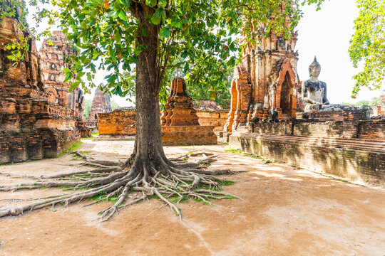 Thailand, Ayutthaya, ruins of Wat Mahathat