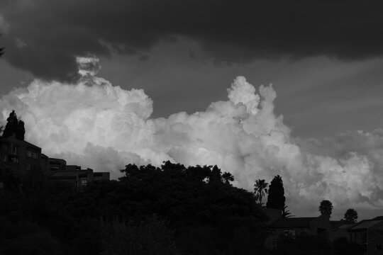 Monochrome fluffy clouds