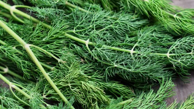 Fresh aromatic green dill (Anethum graveolens) sprigs falling on brown wooden surface close up