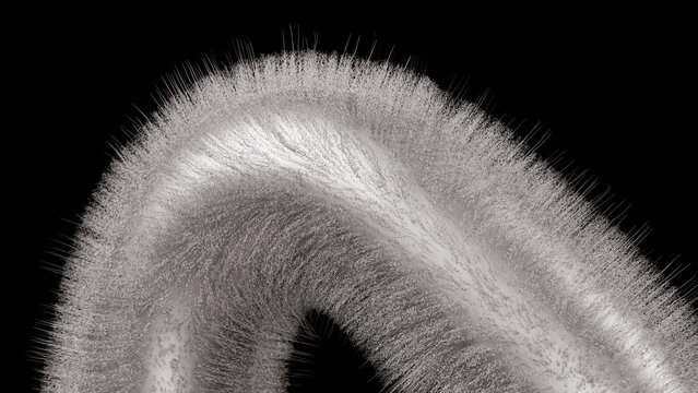 Digital illustration of a curved form with fine hair-like fibers