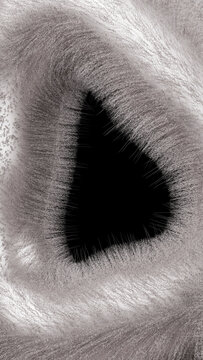 Abstract digital art with swirling black shape and textured wavy lines