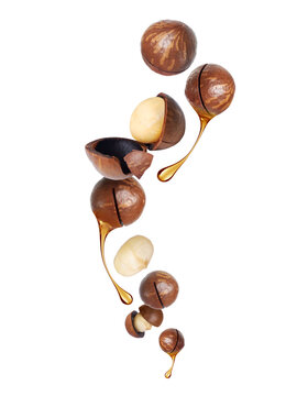 Whole and cracked macadamia nuts in the air with dripping oil drops