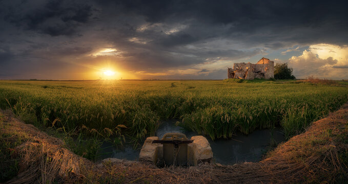 Atardecer en un d&iacute;a de tormenta en la Albufera de Valencia