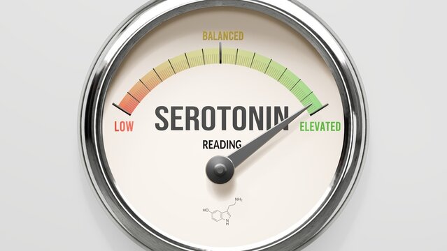 Serotonin - serotonin level at maximum. High and rising levels of serotonin level. Meter needle reaching ELEVATED. Serotonin values off the charts. ,3d illustration