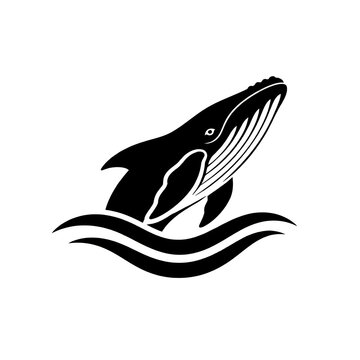 vector illustration of a whale
