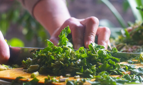 Close-up of hands chopping fresh green spinach for traditional cooking.