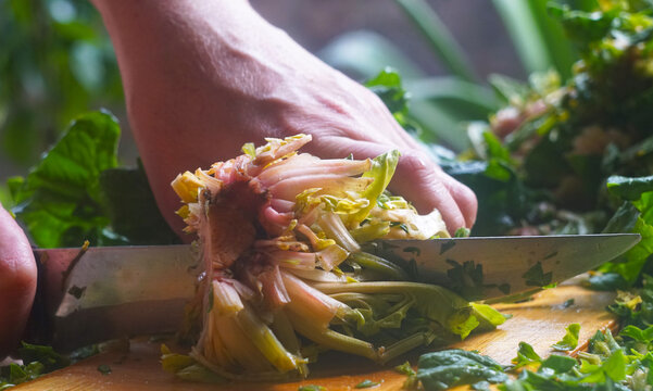 Macro shot of a knife cutting fresh spinach roots on a chopping board.
