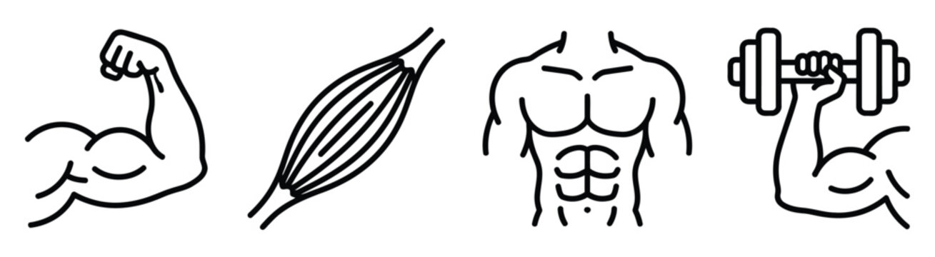 Human muscle anatomy and bodybuilding icons set for fitness gym strength training and health design.
