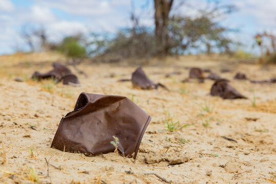 Groot Kolk battlefield heritage site in the Kalahari