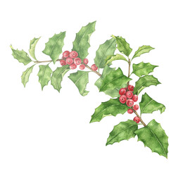 Christmas watercolor illustration of holly branches with pointed green leaves and clusters of red berries. Suitable for holiday cards, Christmas greetings and seasonal decorative compositions. © Evgeniia