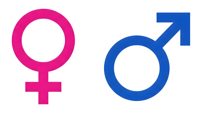 Female and male gender icons in pink and blue isolated on transparent background