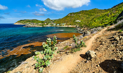 Fototapeta premium Scenic hiking trail winding along the rocky coastline overlooking the turquoise waters of Petite Anse in Saint Barthelemy, Caribbean France